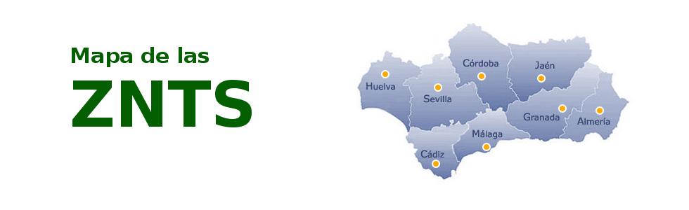 Plataforma ZNTS